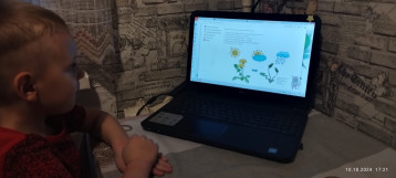 Участие воспитанников с родителям во Всероссийской олимпиаде Участие воспитанников с родителям во Всероссийской олимпиаде.